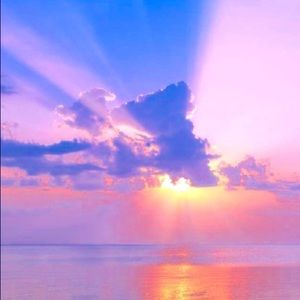 Meet your Posher, Oscar